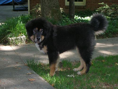 Losloopgebied Nijmegen Weg