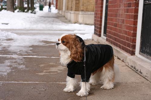 Losloopgebied Wageningen Zuiden